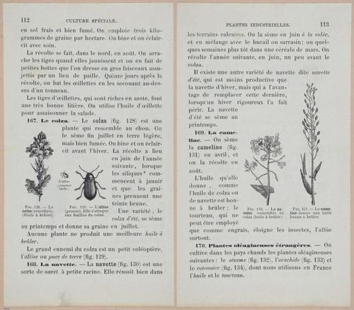 &nbsp;E694 - D'Agriculture - i6133-6134