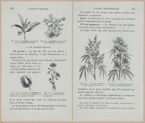 &nbsp;E694 - D'Agriculture - i6135-6136
