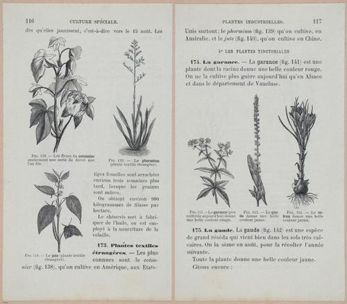 &nbsp;E694 - D'Agriculture - i6137-6138