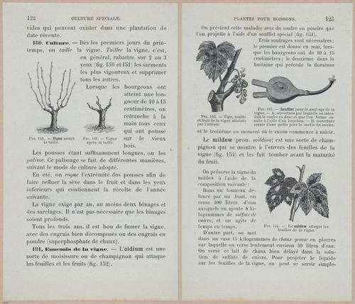 &nbsp;E694 - D'Agriculture - i6143-6144