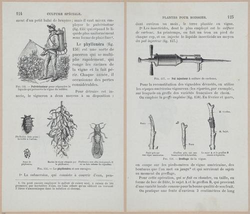 &nbsp;E694 - D'Agriculture - i6145-6146