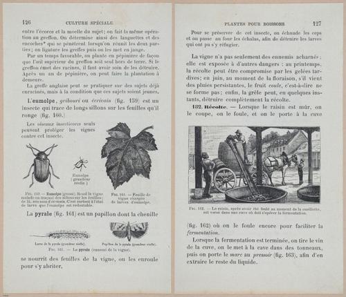 &nbsp;E694 - D'Agriculture - i6147-6148