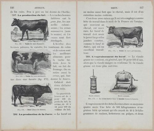 &nbsp;E694 - D'Agriculture - i6165-6166