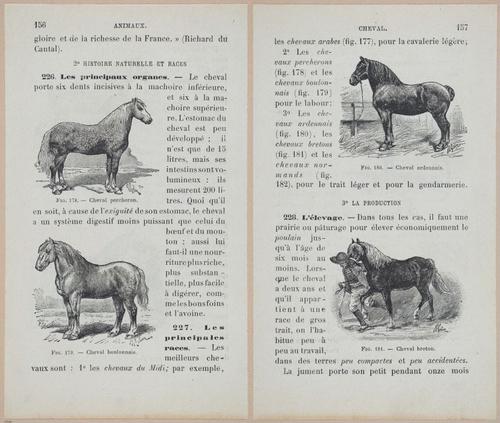 &nbsp;E694 - D'Agriculture - i6175-6176