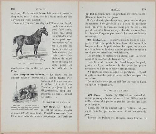 &nbsp;E694 - D'Agriculture - i6177-6178