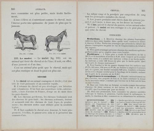&nbsp;E694 - D'Agriculture - i6179-6180