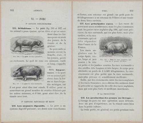 &nbsp;E694 - D'Agriculture - i6181-6182