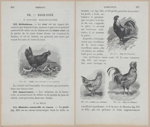 &nbsp;E694 - D'Agriculture - i6185-6186
