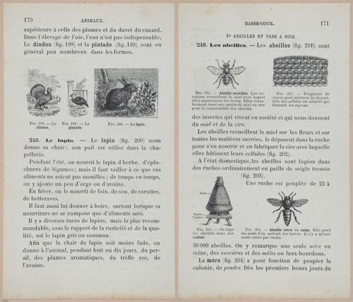 &nbsp;E694 - D'Agriculture - i6189-6190