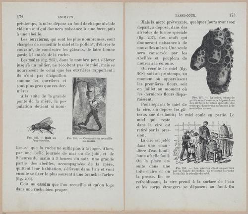 &nbsp;E694 - D'Agriculture - i6191-6192