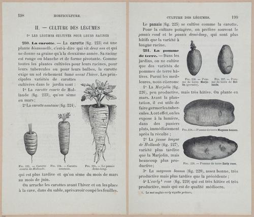 &nbsp;E694 - D'Agriculture - i6217-6218