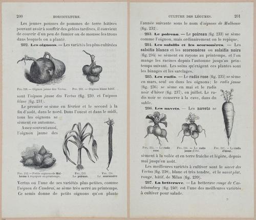 &nbsp;E694 - D'Agriculture - i6219-6220