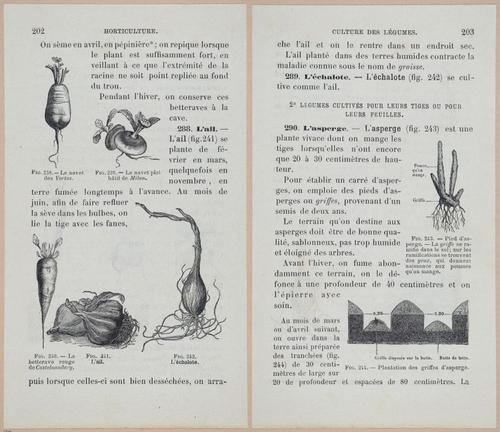 &nbsp;E694 - D'Agriculture - i6221-6222
