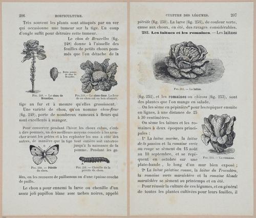&nbsp;E694 - D'Agriculture - i6225-6226