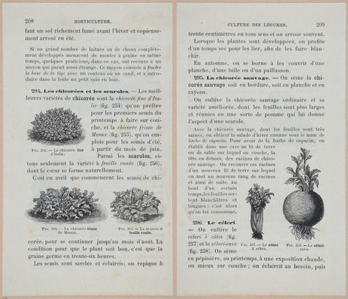 &nbsp;E694 - D'Agriculture - i6227-6228