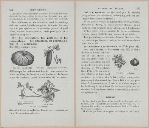 &nbsp;E694 - D'Agriculture - i6231-6232