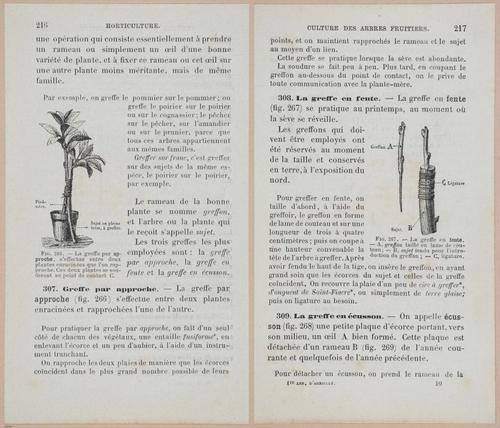 &nbsp;E694 - D'Agriculture - i6235-6236