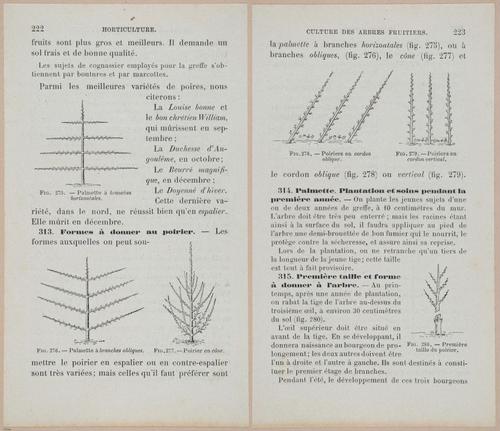 &nbsp;E694 - D'Agriculture - i6241-6242
