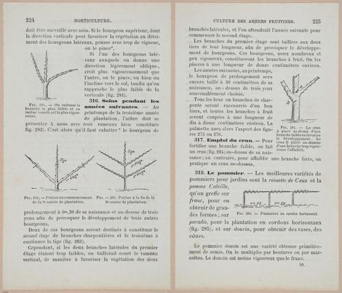 &nbsp;E694 - D'Agriculture - i6243-6244