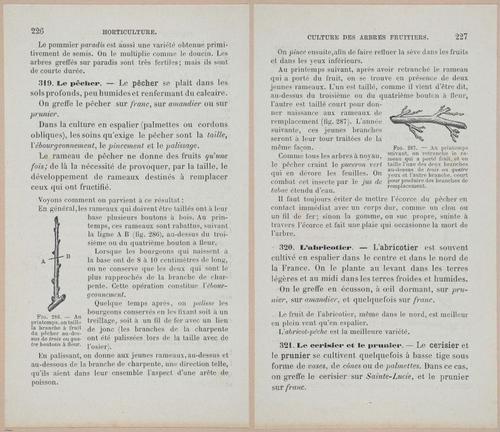 &nbsp;E694 - D'Agriculture - i6245-6246