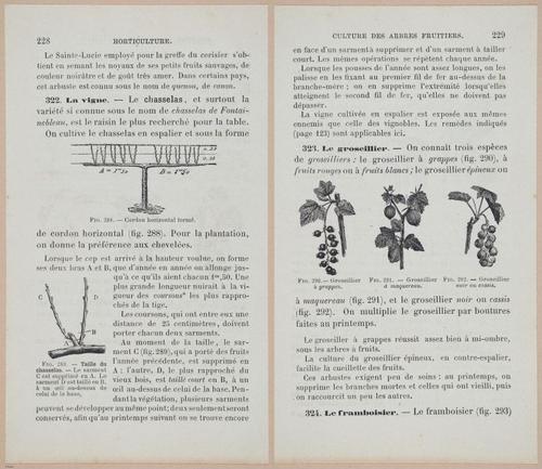 &nbsp;E694 - D'Agriculture - i6247-6248