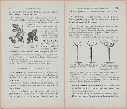 &nbsp;E694 - D'Agriculture - i6249-6250