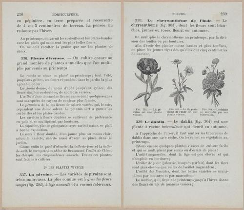 &nbsp;E694 - D'Agriculture - i6257-6258
