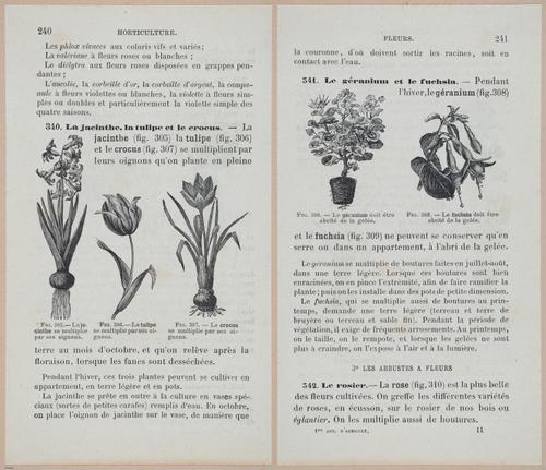&nbsp;E694 - D'Agriculture - i6259-6260
