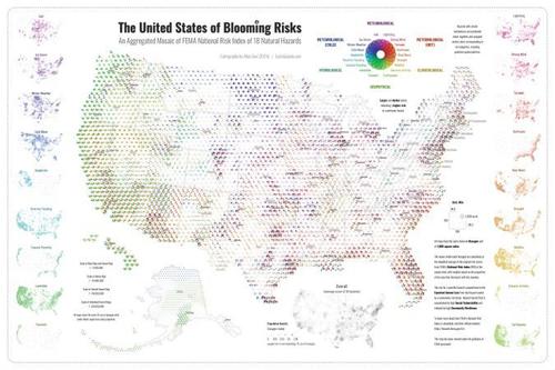 The United States of Blooming Risks - Dan Scollon