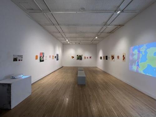 Tangled Full Exhibition