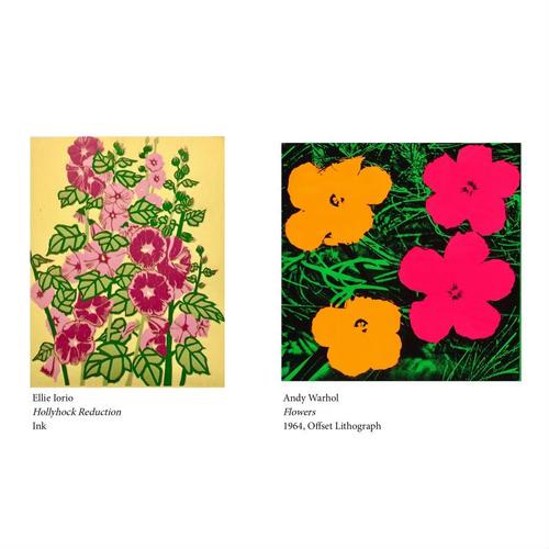 Ellie Iorio - Hollyhock Reduction
