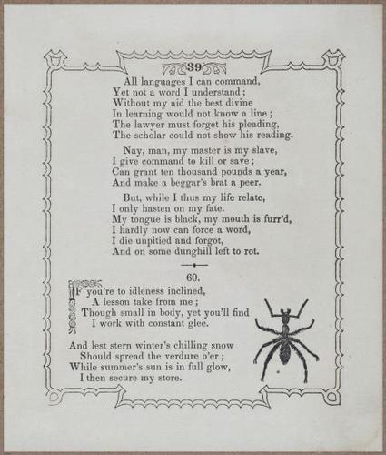 E730 - Picture Riddler - 1854 - 9090