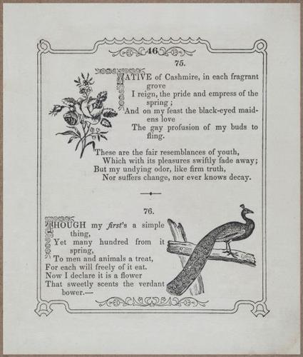 E730 - Picture Riddler - 1854 - 9097