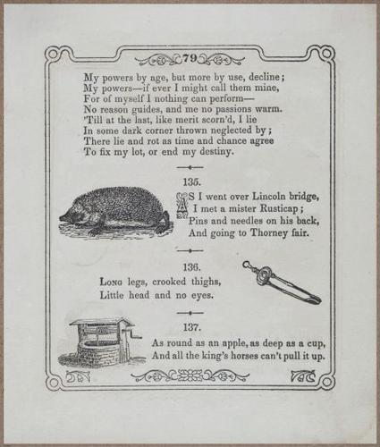 E730 - Picture Riddler - 1854 - 9130