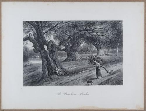 E731 - Pict Eur V1 - i9552