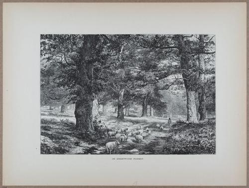 E731 - Pict Eur V1 - i9564