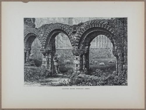 E731 - Pict Eur V1 - i9732