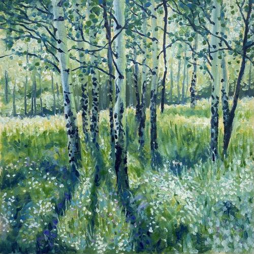 Aspen Shadow