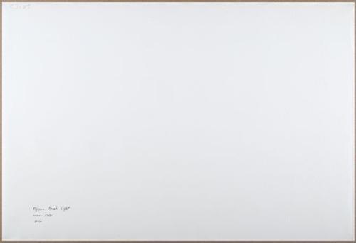E205 - Big Paper Collection - 9982