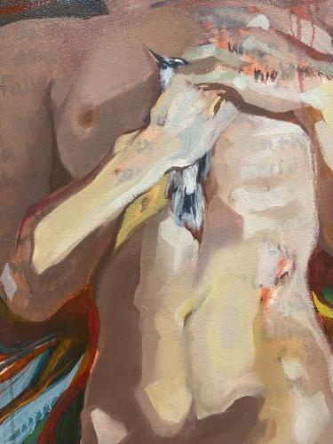 Bluejay Detail Shot