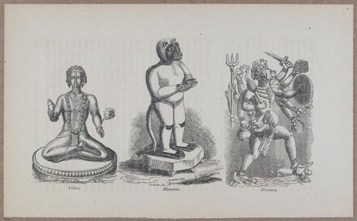 E783 - India Inhabitants - i11926