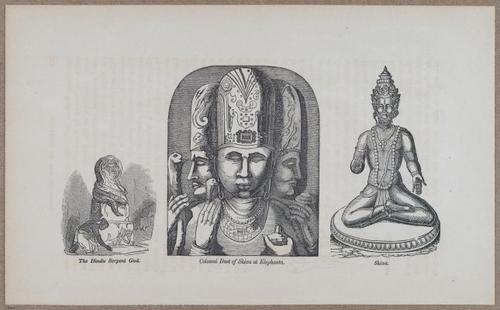 E783 - India Inhabitants - i11928