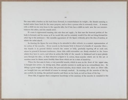 E790 - Progressive Drawing - i12293