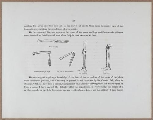 E790 - Progressive Drawing - i12294