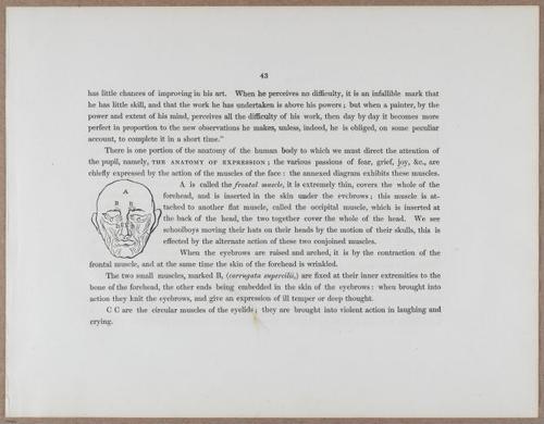 E790 - Progressive Drawing - i12298