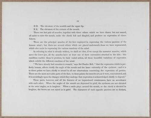E790 - Progressive Drawing - i12299