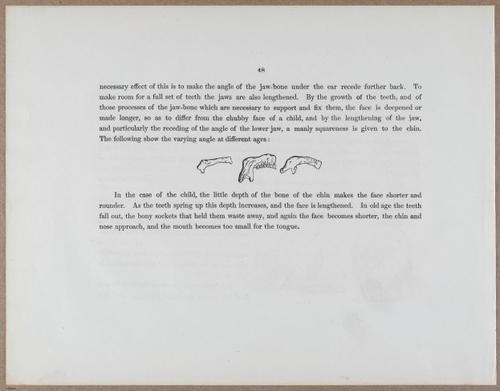 E790 - Progressive Drawing - i12303