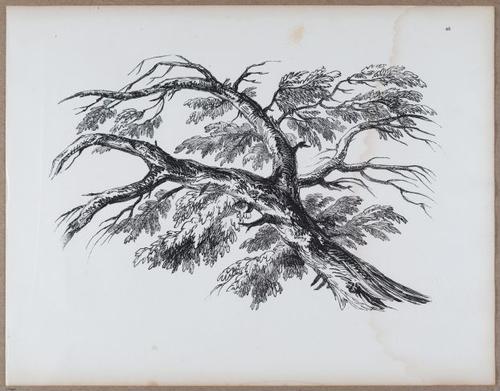 E790 - Progressive Drawing - i12359