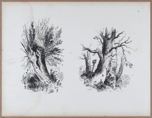 E790 - Progressive Drawing - i12360