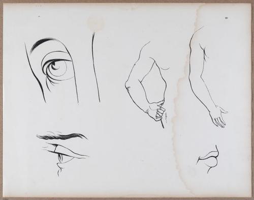 E790 - Progressive Drawing - i12373